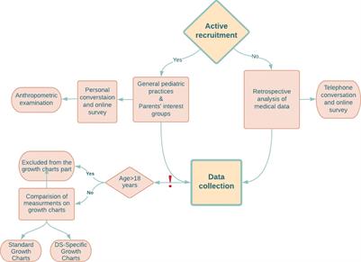 The best tool for the assessment of developmental disorders in children with down syndrome: comparison of standard and specialized growth charts - cross sectional study